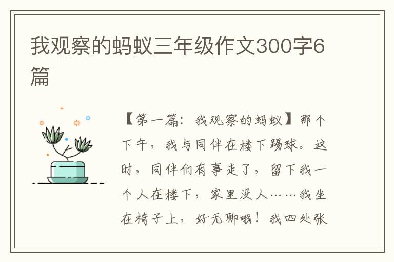 我观察的蚂蚁三年级作文300字6篇