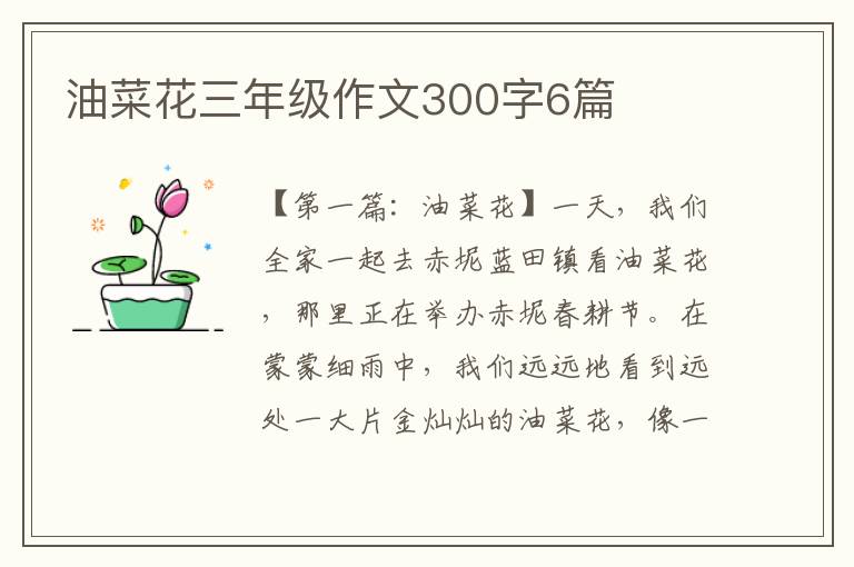 油菜花三年级作文300字6篇