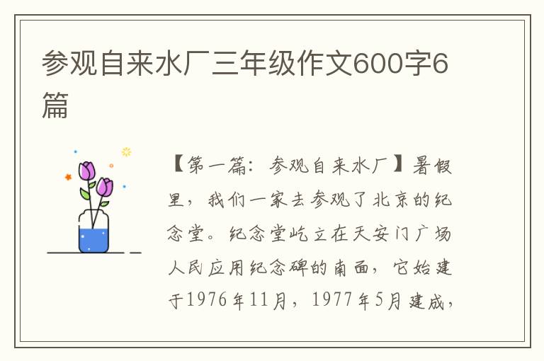 参观自来水厂三年级作文600字6篇