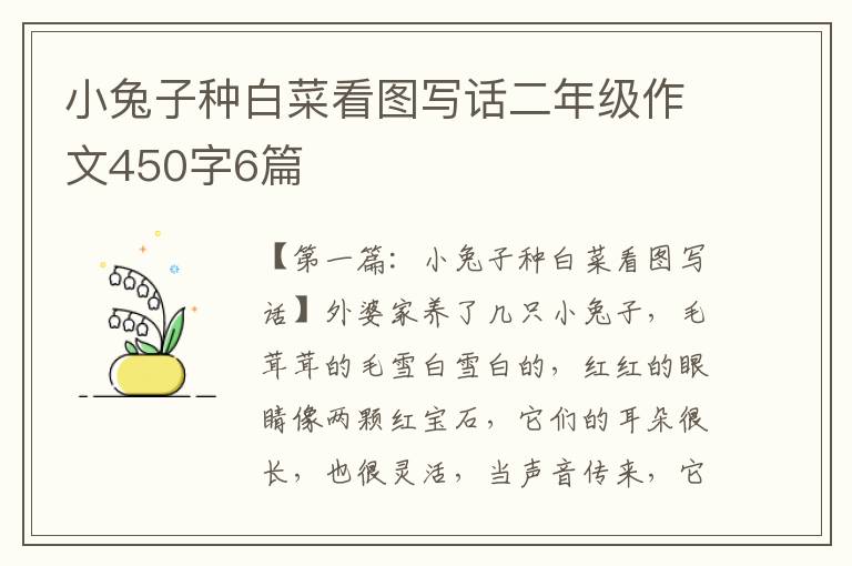 小兔子种白菜看图写话二年级作文450字6篇