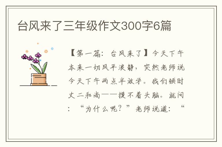 台风来了三年级作文300字6篇