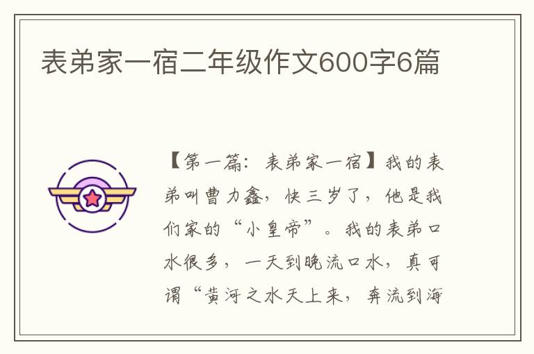 表弟家一宿二年级作文600字6篇