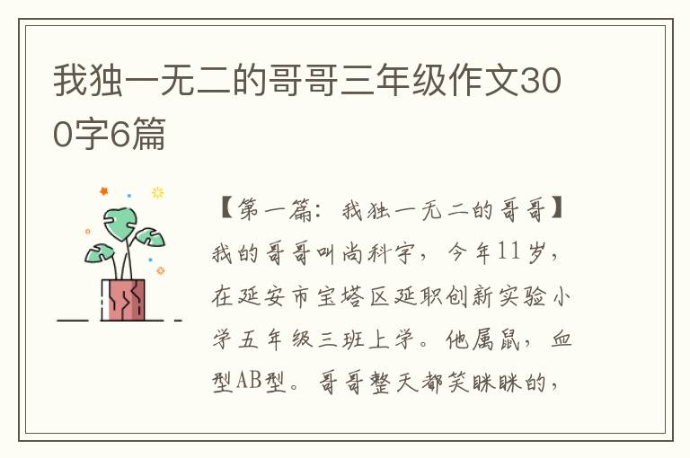 我独一无二的哥哥三年级作文300字6篇