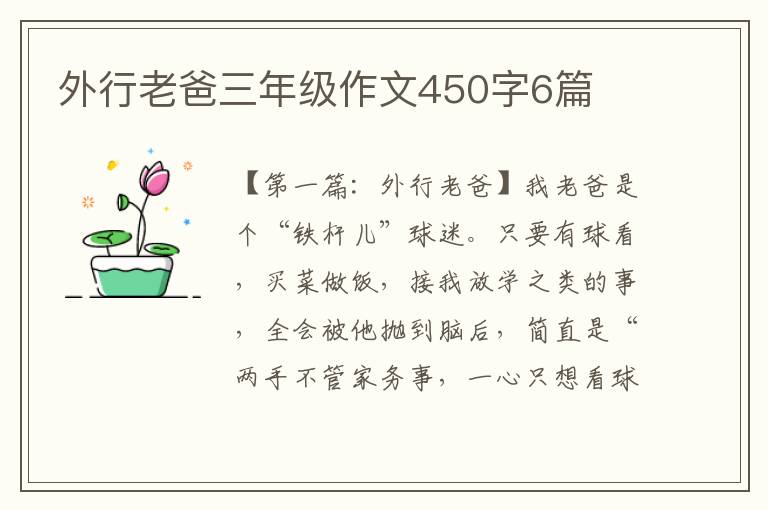 外行老爸三年级作文450字6篇