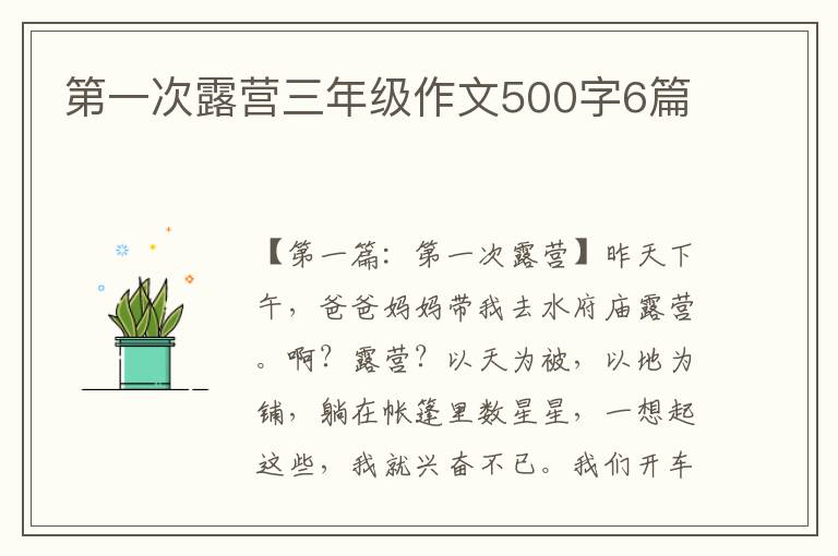 第一次露营三年级作文500字6篇