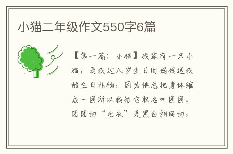 小猫二年级作文550字6篇