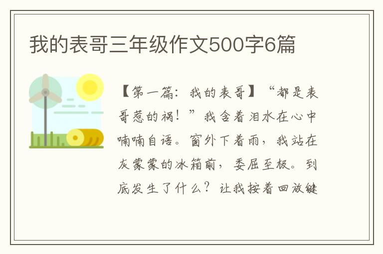 我的表哥三年级作文500字6篇