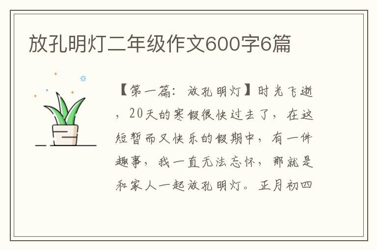 放孔明灯二年级作文600字6篇