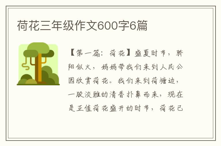 荷花三年级作文600字6篇