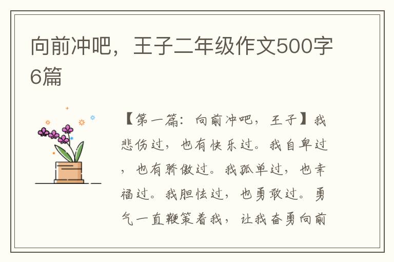 向前冲吧，王子二年级作文500字6篇