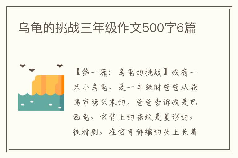 乌龟的挑战三年级作文500字6篇