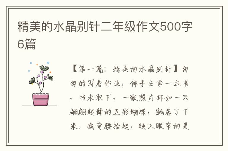 精美的水晶别针二年级作文500字6篇