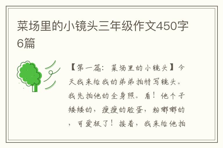 菜场里的小镜头三年级作文450字6篇