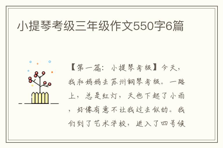 小提琴考级三年级作文550字6篇