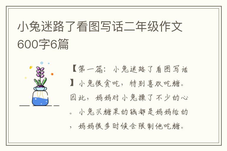 小兔迷路了看图写话二年级作文600字6篇