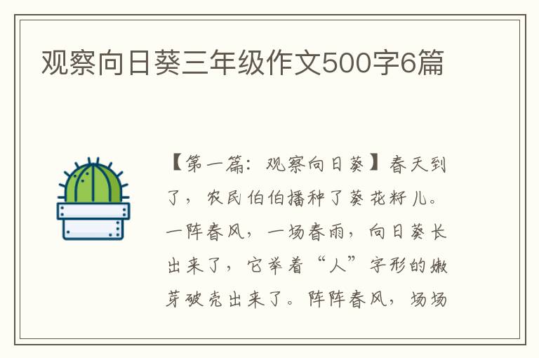 观察向日葵三年级作文500字6篇