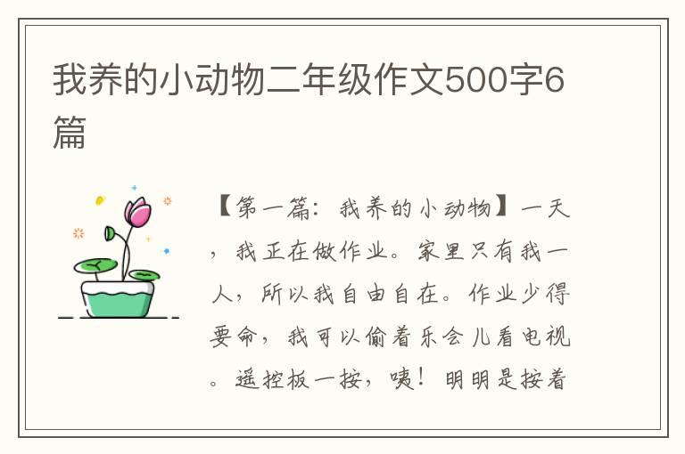 我养的小动物二年级作文500字6篇