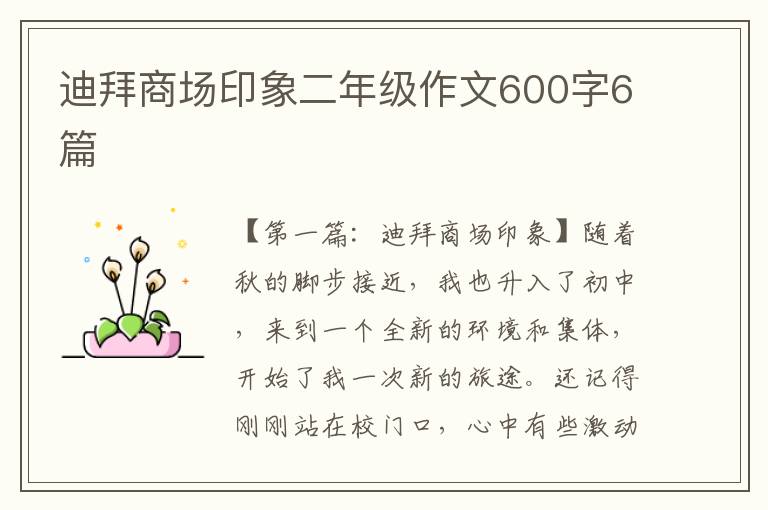 迪拜商场印象二年级作文600字6篇