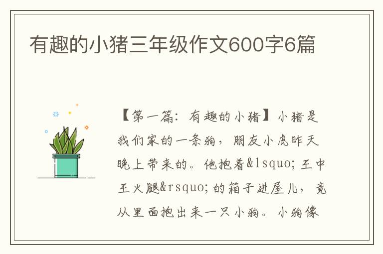 有趣的小猪三年级作文600字6篇