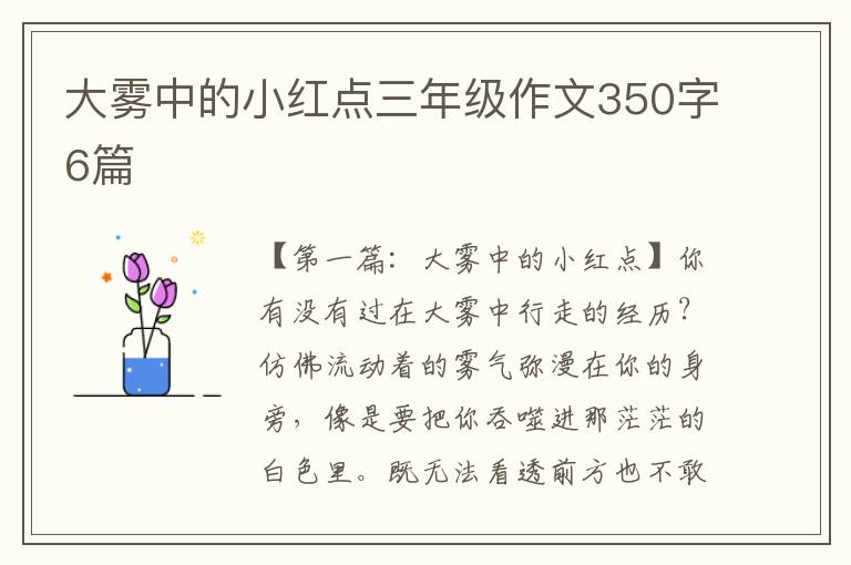 大雾中的小红点三年级作文350字6篇