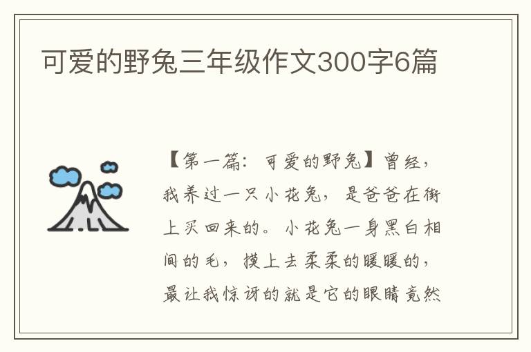 可爱的野兔三年级作文300字6篇