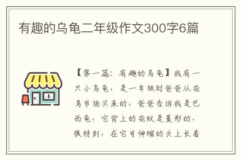 有趣的乌龟二年级作文300字6篇