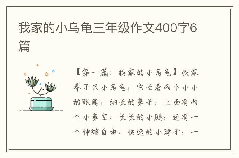 我家的小乌龟三年级作文400字6篇