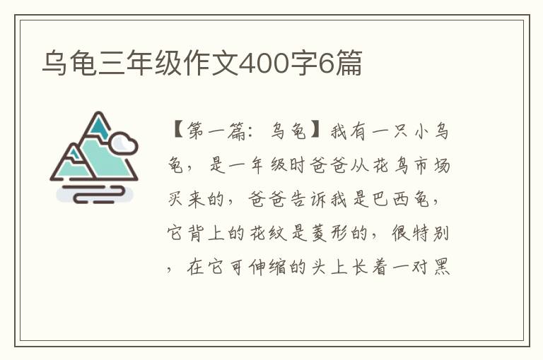 乌龟三年级作文400字6篇