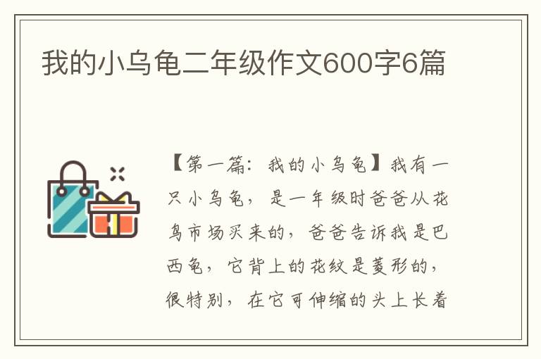 我的小乌龟二年级作文600字6篇