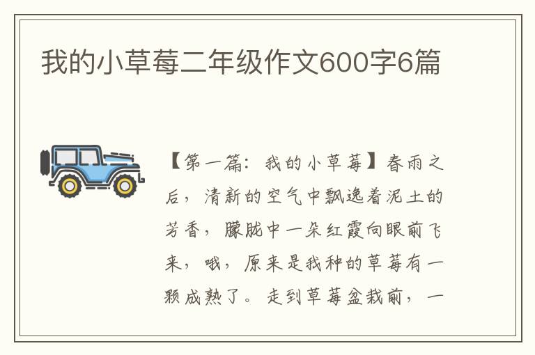 我的小草莓二年级作文600字6篇