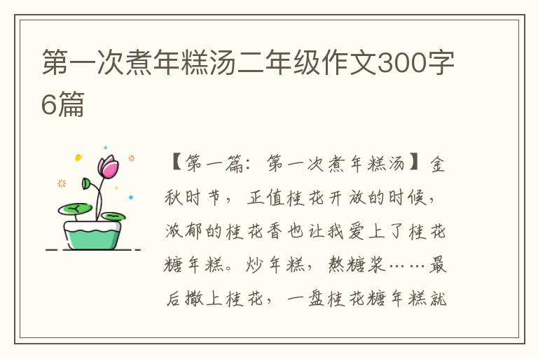 第一次煮年糕汤二年级作文300字6篇