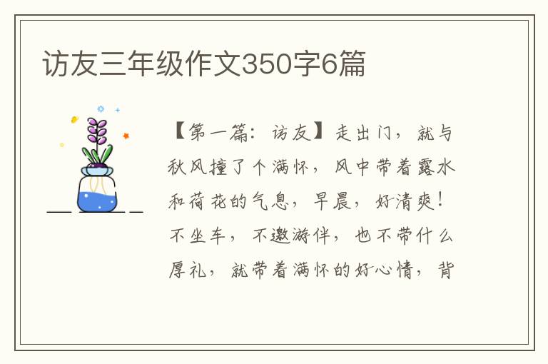 访友三年级作文350字6篇