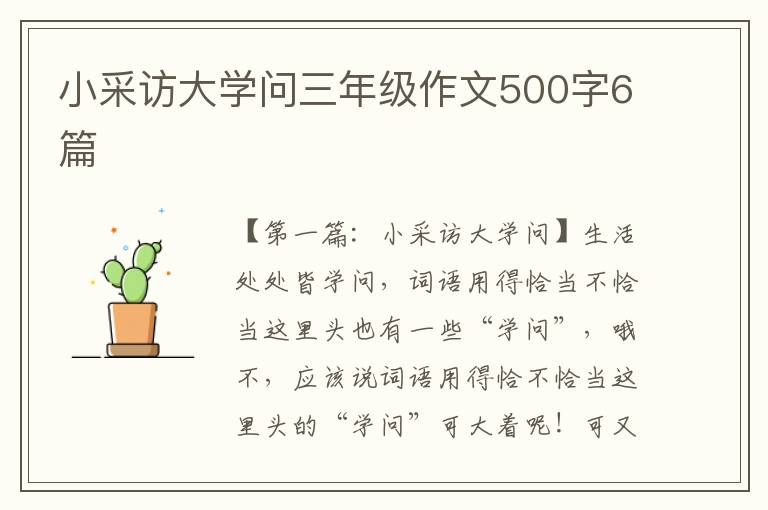 小采访大学问三年级作文500字6篇