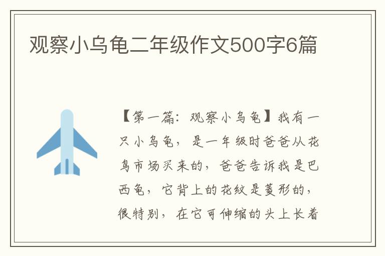 观察小乌龟二年级作文500字6篇