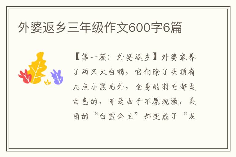 外婆返乡三年级作文600字6篇