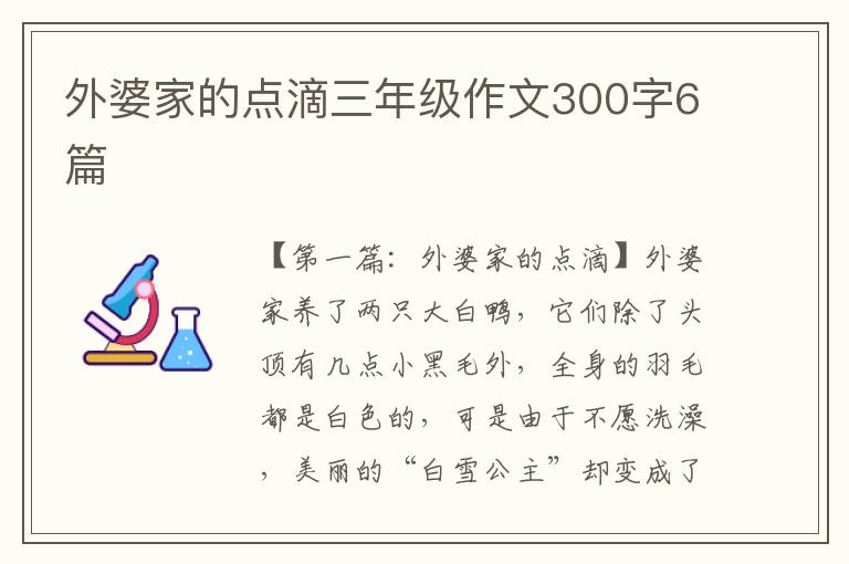 外婆家的点滴三年级作文300字6篇