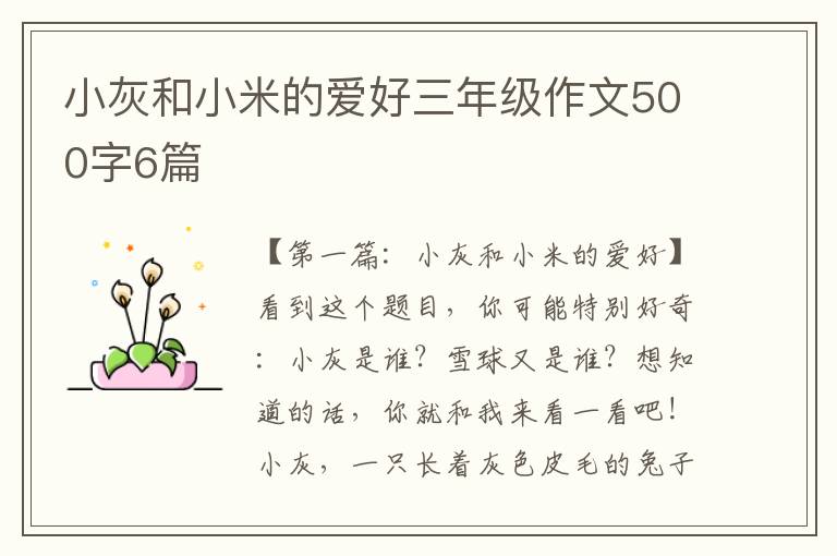 小灰和小米的爱好三年级作文500字6篇