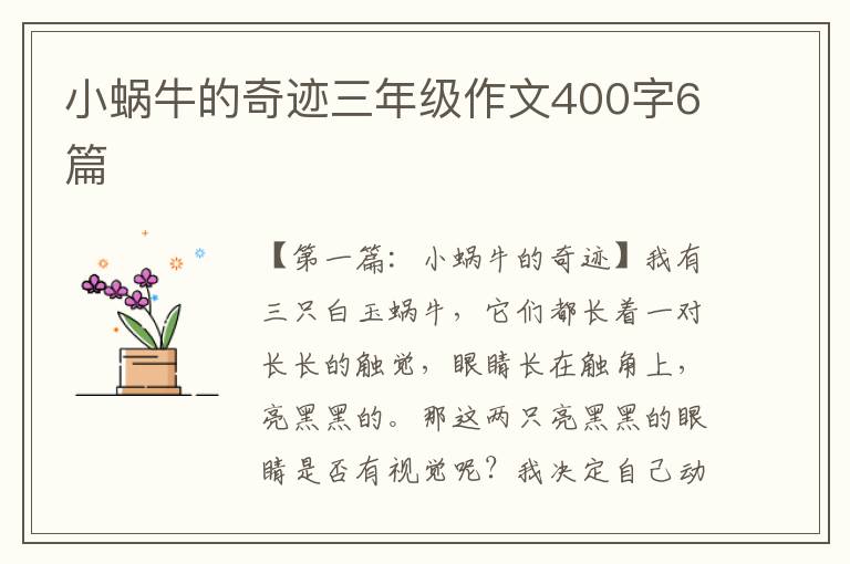 小蜗牛的奇迹三年级作文400字6篇