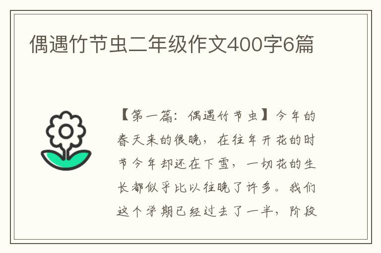 偶遇竹节虫二年级作文400字6篇