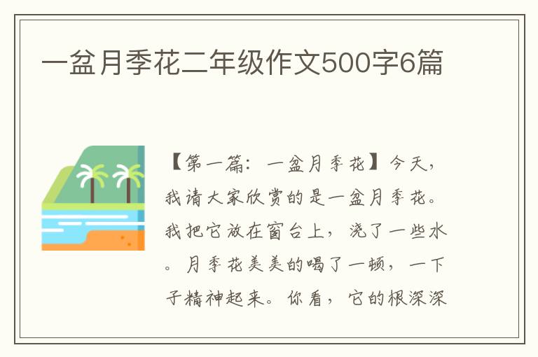 一盆月季花二年级作文500字6篇