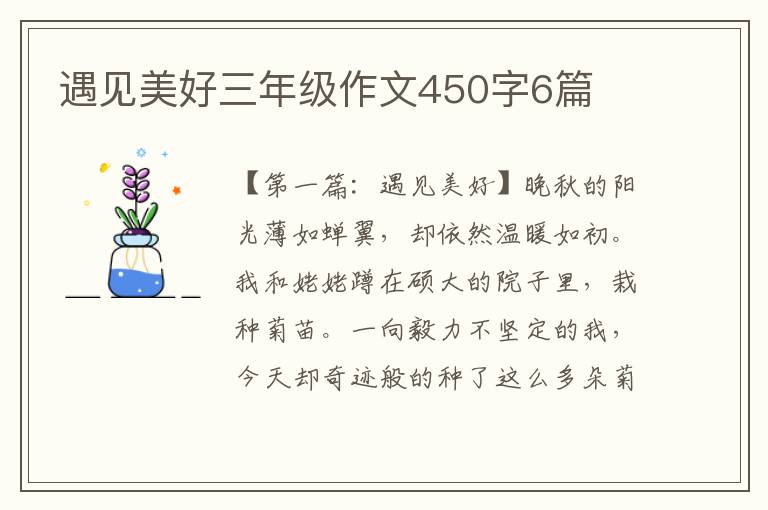 遇见美好三年级作文450字6篇