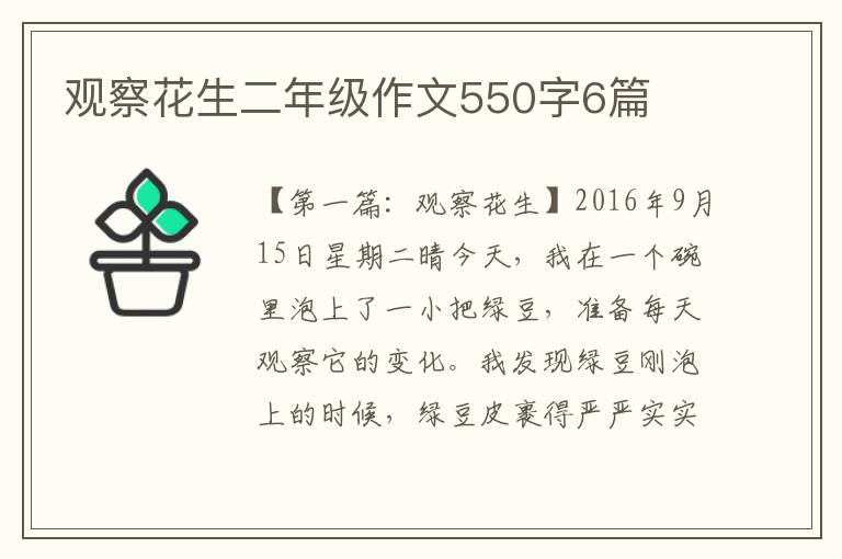 观察花生二年级作文550字6篇