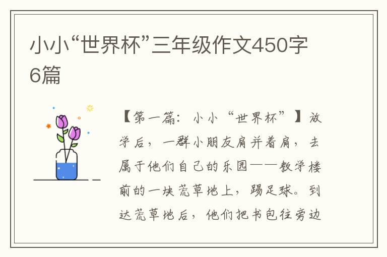 小小“世界杯”三年级作文450字6篇