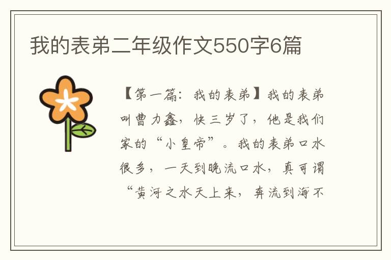 我的表弟二年级作文550字6篇