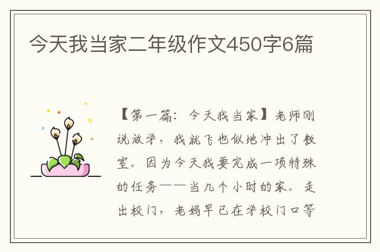 今天我当家二年级作文450字6篇