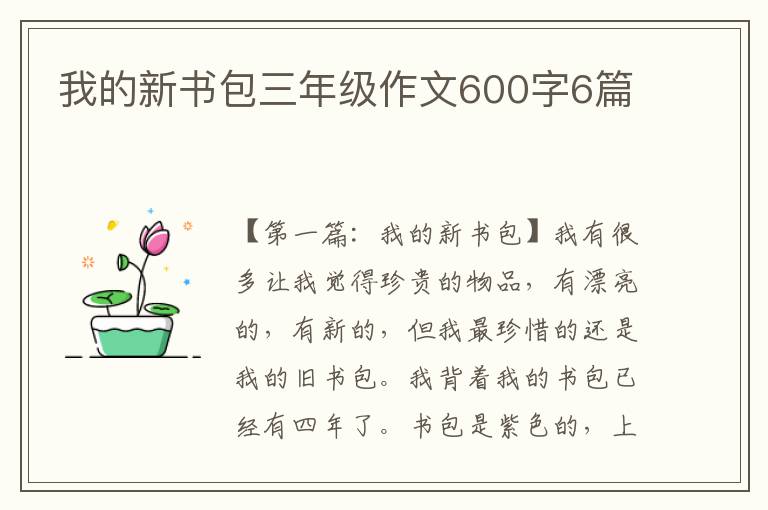 我的新书包三年级作文600字6篇