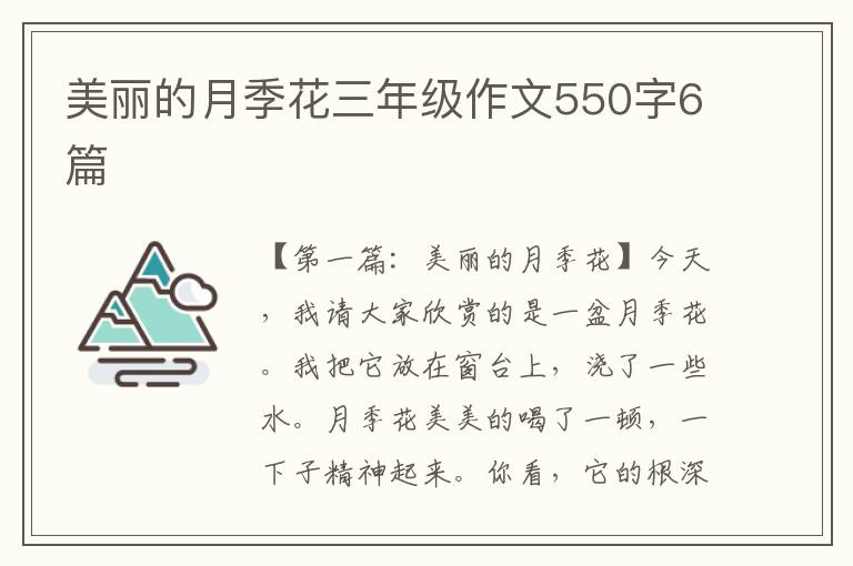 美丽的月季花三年级作文550字6篇