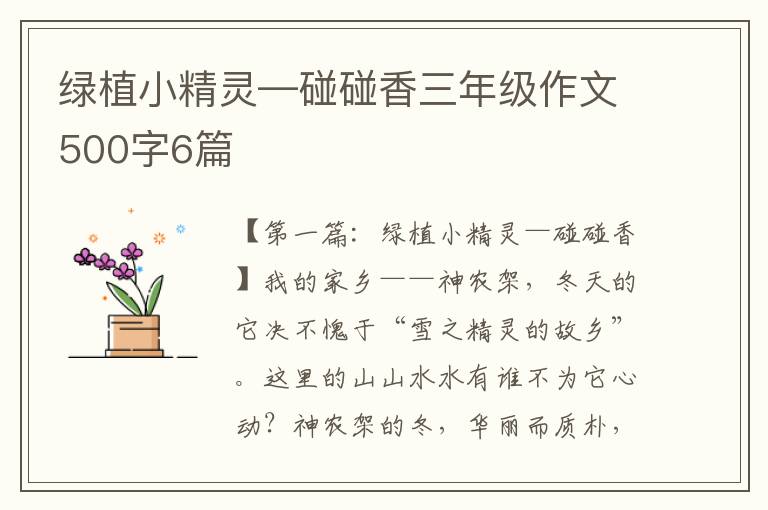 绿植小精灵—碰碰香三年级作文500字6篇