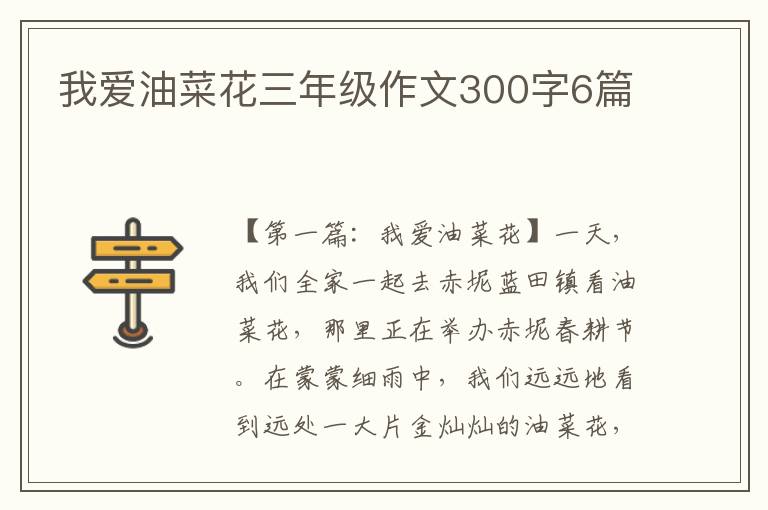 我爱油菜花三年级作文300字6篇