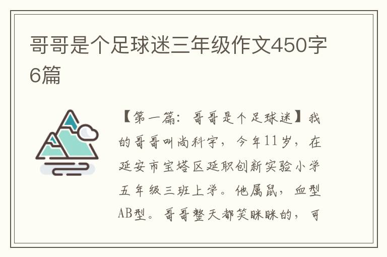 哥哥是个足球迷三年级作文450字6篇